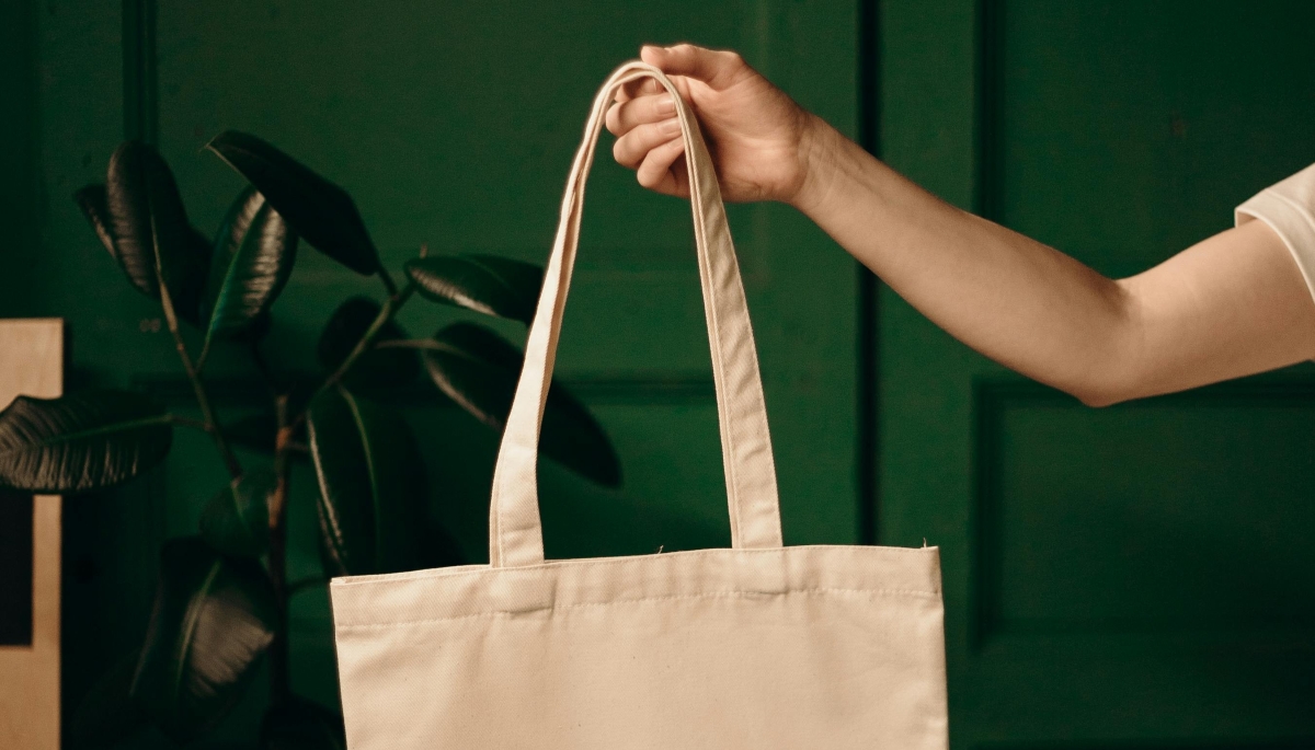 L'Ajuntament ofereix subvencions per a la modernitzaci� del comer� local