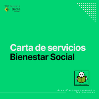 Carta de serveis de Benestar Social (castellano)