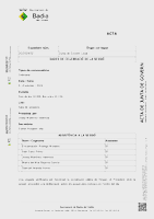 Acta de la Junta de Govern Local de 9 d'octubre de 2024