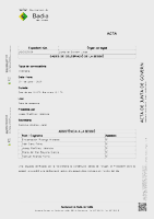 Acta de la Junta de Govern Local de 23 de juliol de 2025