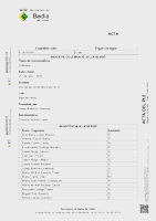 Acta del Ple Municipal de 26 de juny de 2025